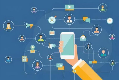 个人信息遭泄露？掌握这些技巧，高效保护隐私安全